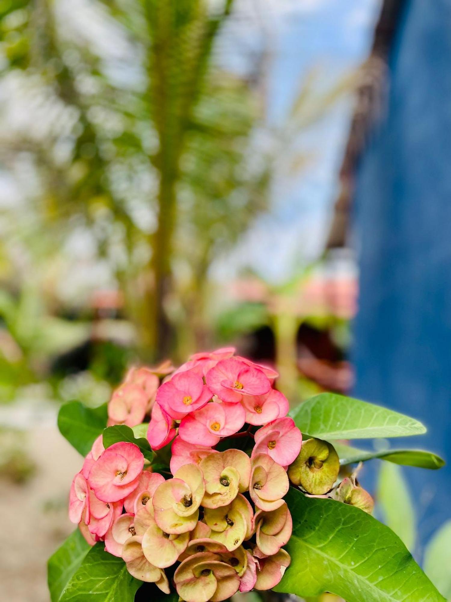 Un Dia Boutique Resort Playas Buitenkant foto